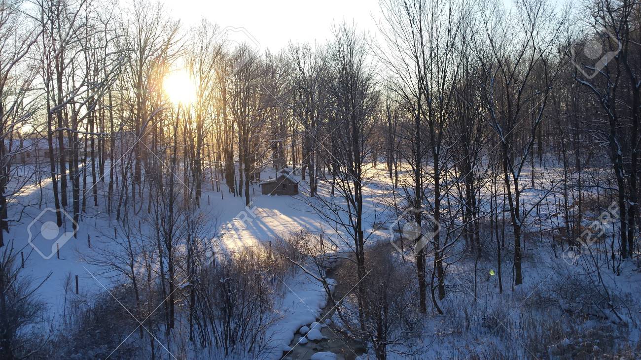 Sunrise shines through leafless trees over a snowy landscape, casting long shadows on the ground. A small cabin sits near the center, beside a narrow, partially frozen stream winding through the winter scene.