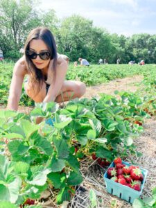 SHRPA picking strawberries