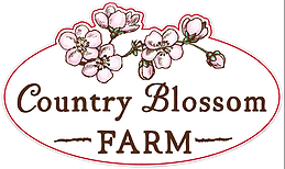 country blossom farm logo