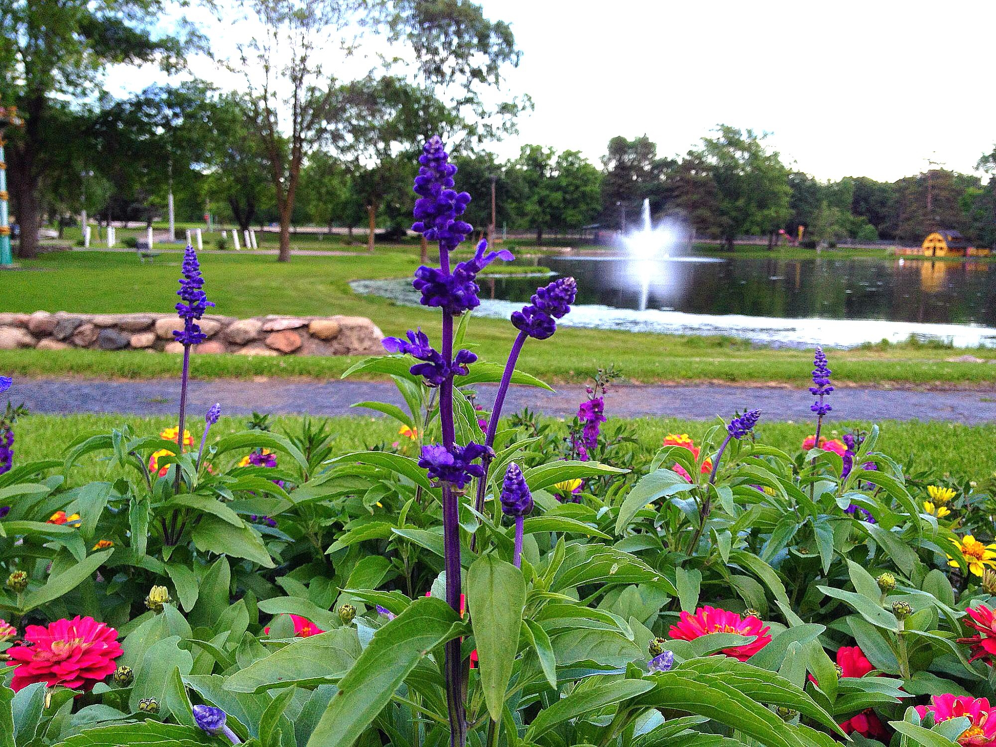 Purple and red flowers bloom in a garden bed by a pond at Noonan Park. A water fountain sprays in the pond, with green grass, trees, and a stone border visible in the background under a bright sky.