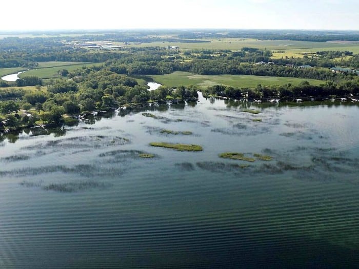 Lake Carlos and Long Prairie River