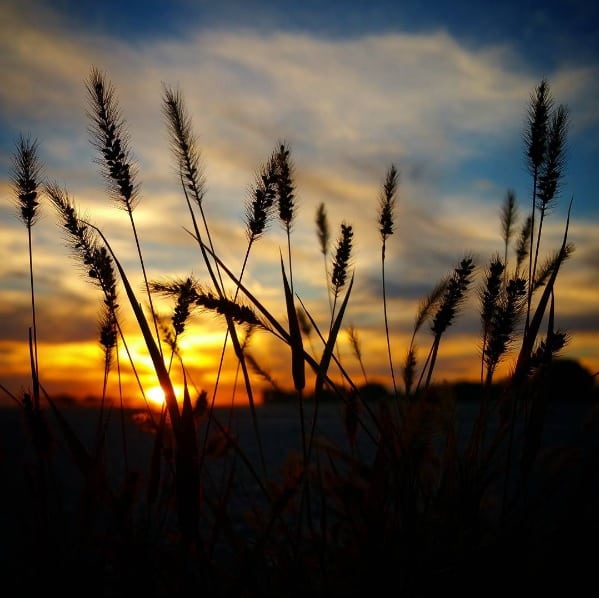 Photo by amrettig923