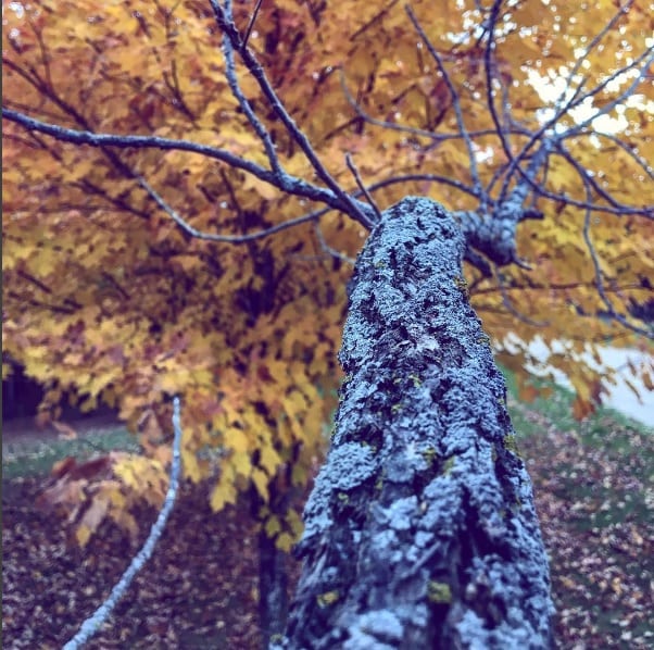Photo by capturecaptain
