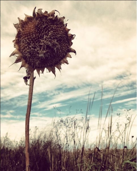 Photo by choptliver