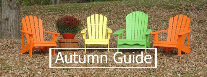 Autumn Guide - Alexandria, MN