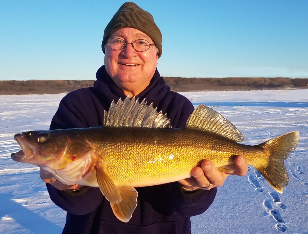 Minnows may be hard to find for Saturday's Minnesota walleye opener -  Alexandria Echo Press