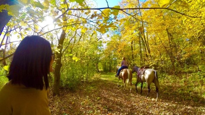 kensington-runestone-oct-2016-horse-explore-alex