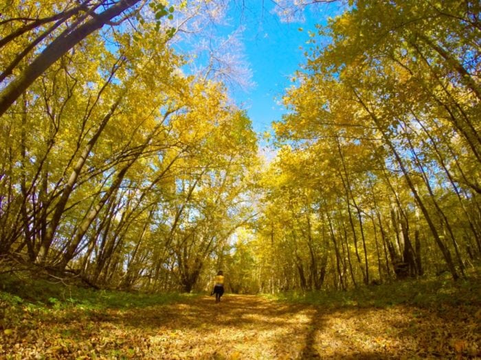 Runestone Park Fall - Photo by James Feist