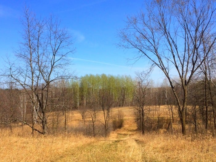 LC Green in distance