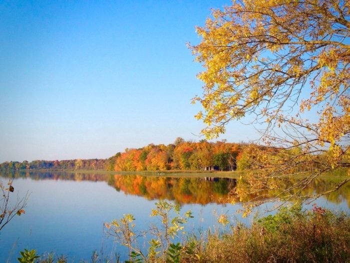 Lake Carlos reflection