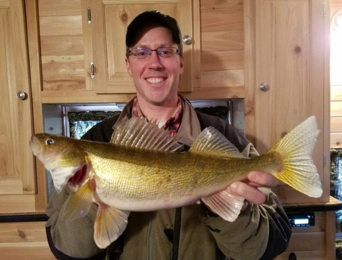 perfect-eater-sized-walleye