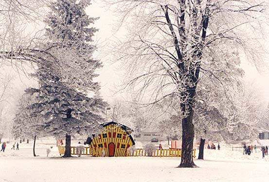 Winter at Noonan's Park