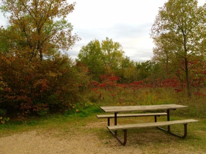bench lcsp 2016