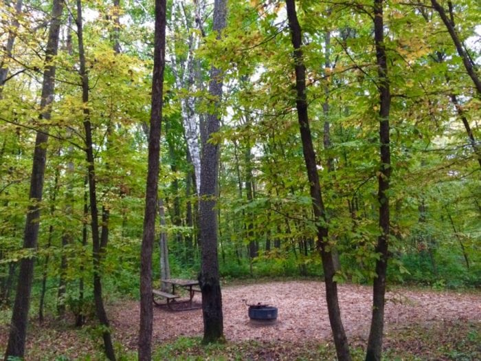 campsite lcsp 2016