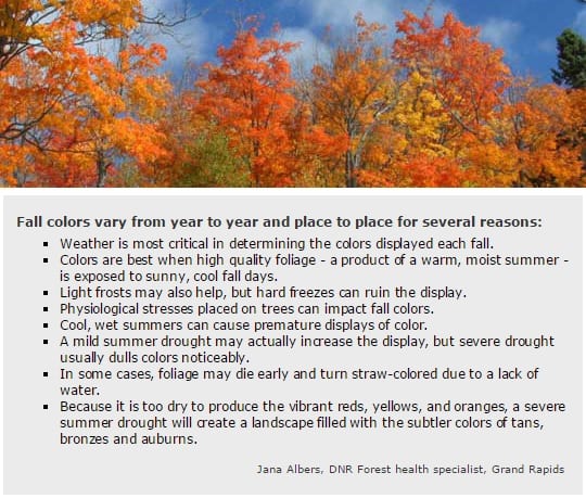 dnr fall color variables