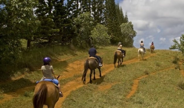 horse stables