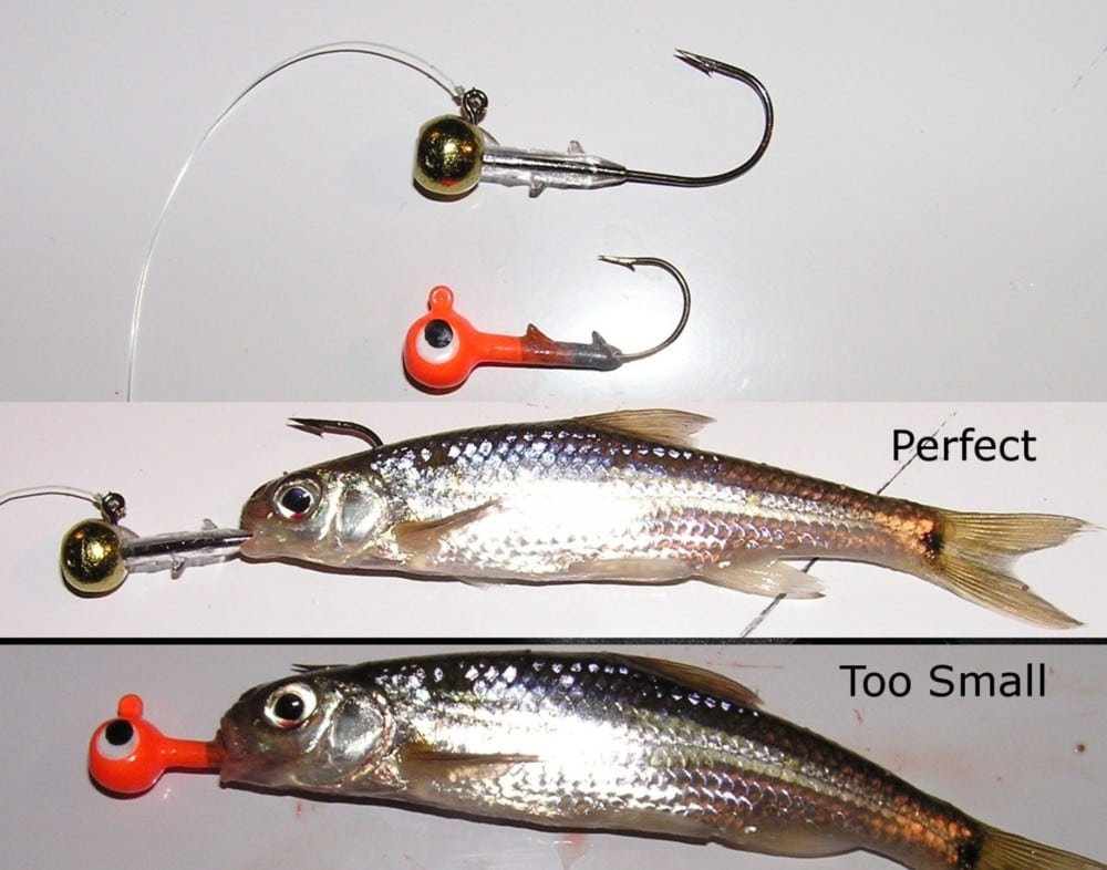 Walleye Fishing Tip: Picking the right Jig for the Job - Explore