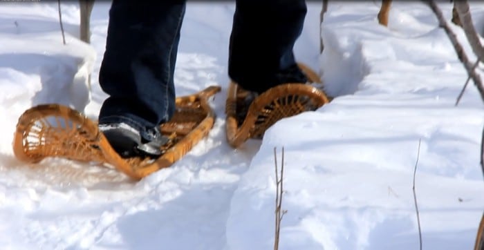 snowshoeing 2