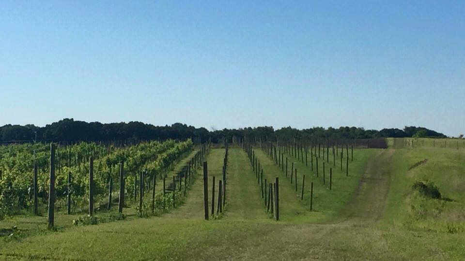 eagleview winery pic