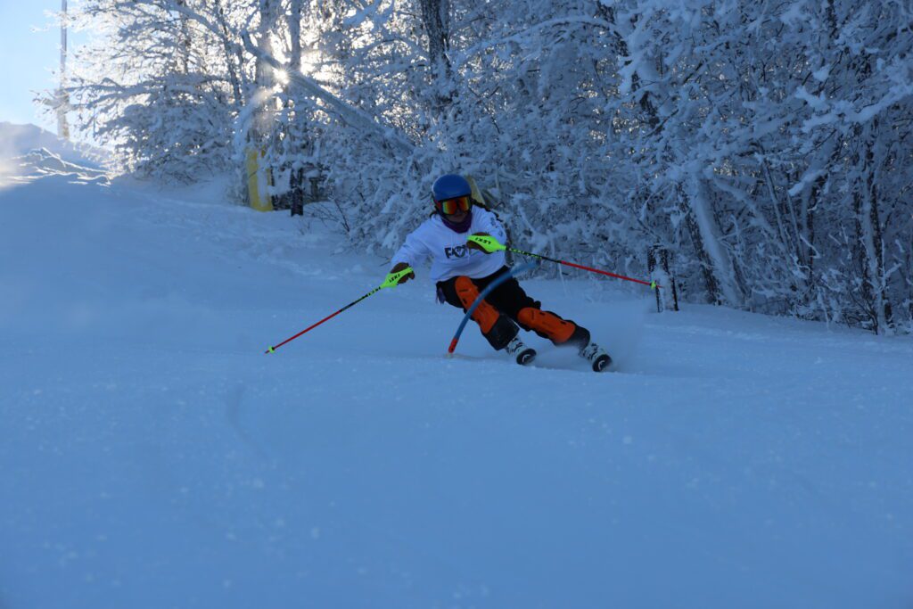 Ski Slalom 91