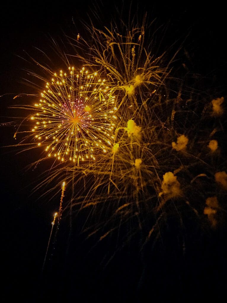 2023 fireworks 10
