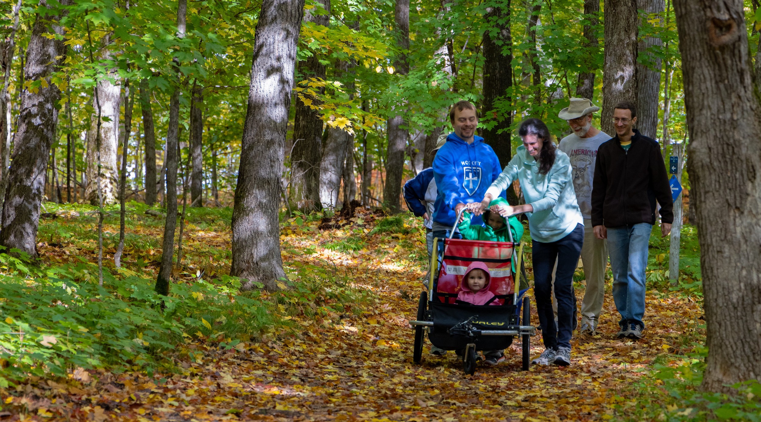 5-Fall-walk-Lk-Carlos-St-Park