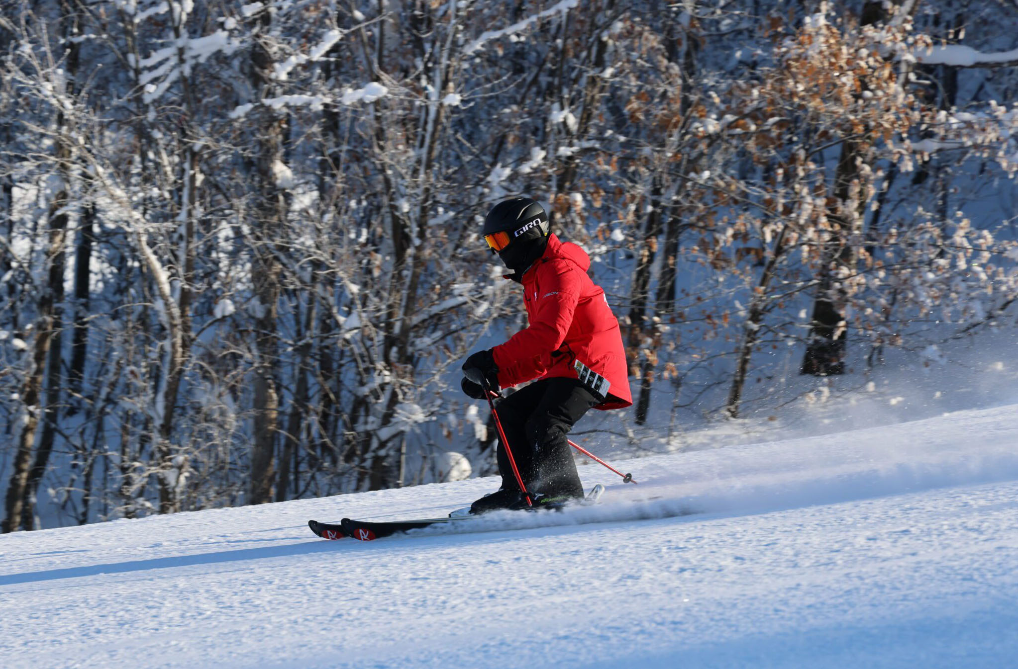 A person wearing a red jacket, black pants, and a helmet skis downhill on a snowy slope, with snow spraying behind them and leafless trees in the background.