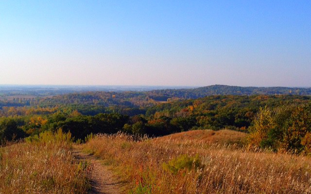 A dirt path winds through tall dry grass, leading to a view of rolling hills covered in green and orange trees under a clear blue sky—a perfect scene for any Summer Guide.