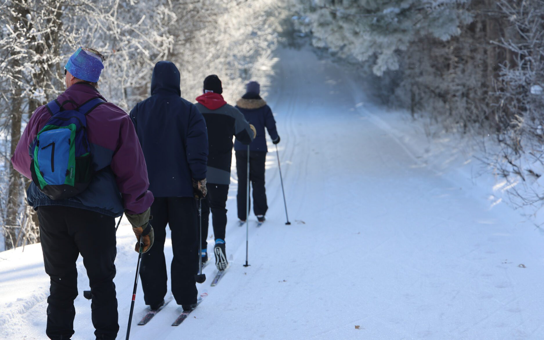 Four people dressed in winter clothing are cross-country skiing on a snowy trail through a forest. The trees are covered in snow as the skiers follow a scenic path—an ideal scene for any Winter Guide.
