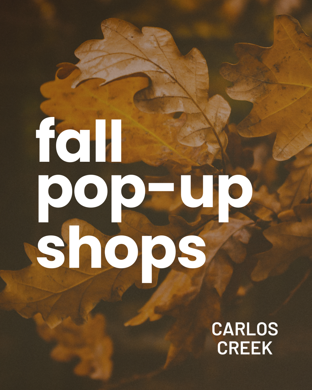 Close-up of autumn oak leaves in warm tones with bold white text reading "Fall Pop-Up Shop" and "CARLOS CREEK" in the bottom right corner.