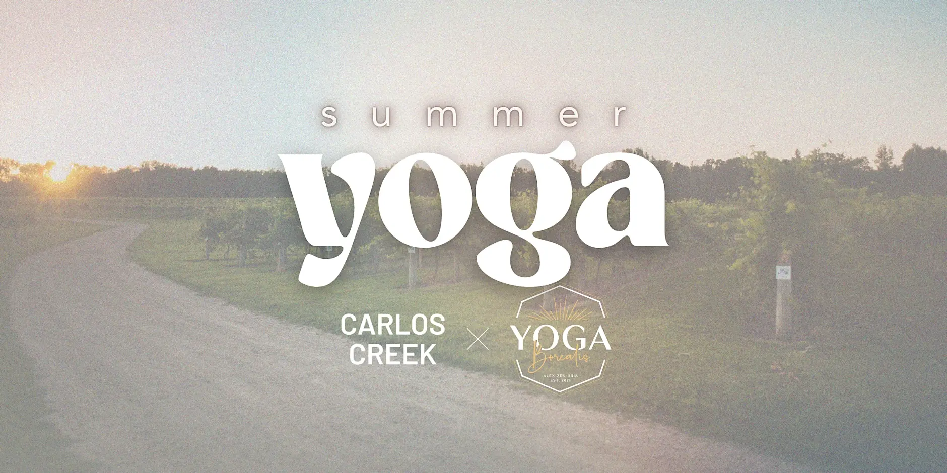 A sunset-lit path runs beside the green vineyard at Carlos Creek. Overlaid white text reads: "Summer Yoga, Carlos Creek x Yoga Synergy." The calm scene invites you to join this relaxing outdoor summer yoga event.