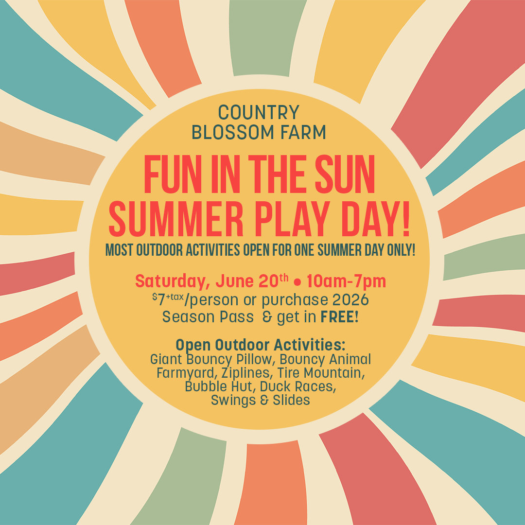 A colorful sunburst flyer for the “Summer Play Day” at Country Blossom Farm, listing outdoor activities and event details for Saturday, June 20th, 10am–7pm. Entry fees and free pass info included.